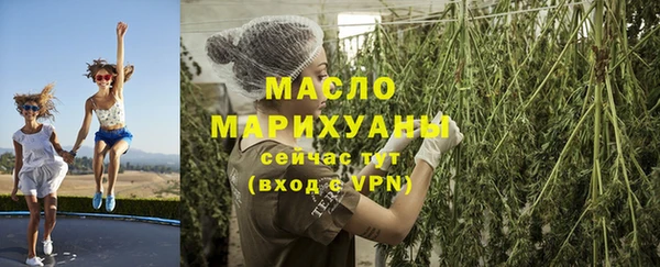 дмт Бердск