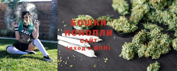 амф Осинники