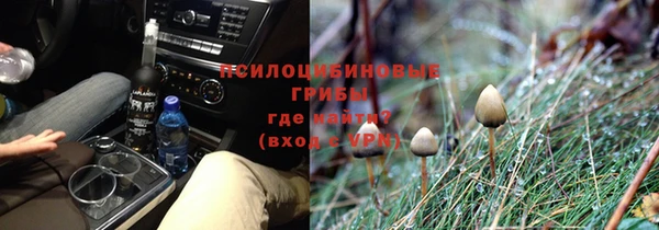 амф Осинники