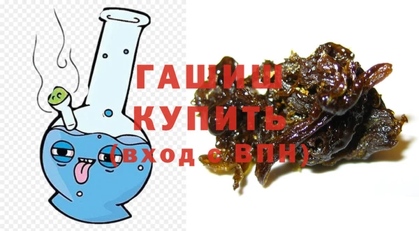 амф Осинники