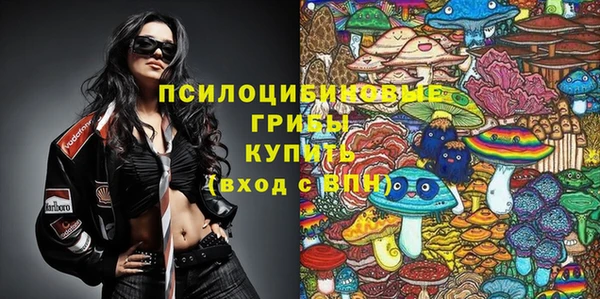 амф Осинники